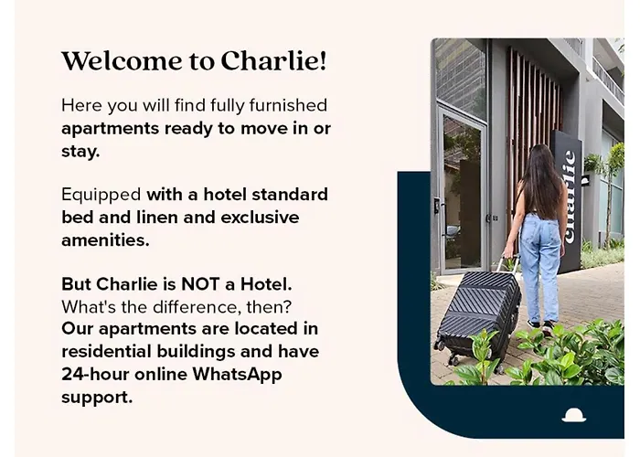 Charlie Dstay Moema